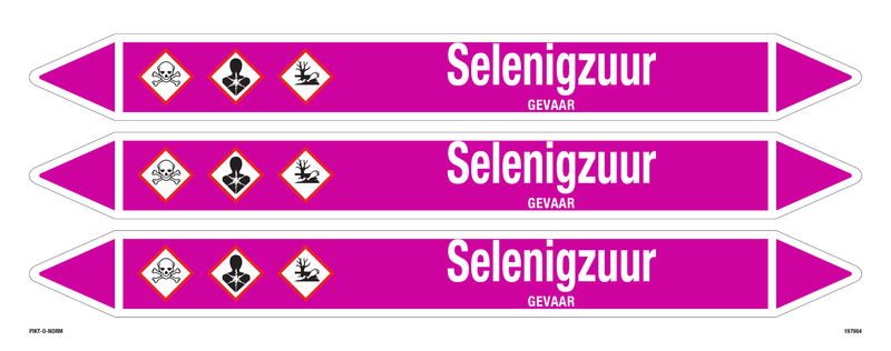 SELENIGZUUR