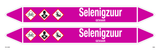 SELENIGZUUR