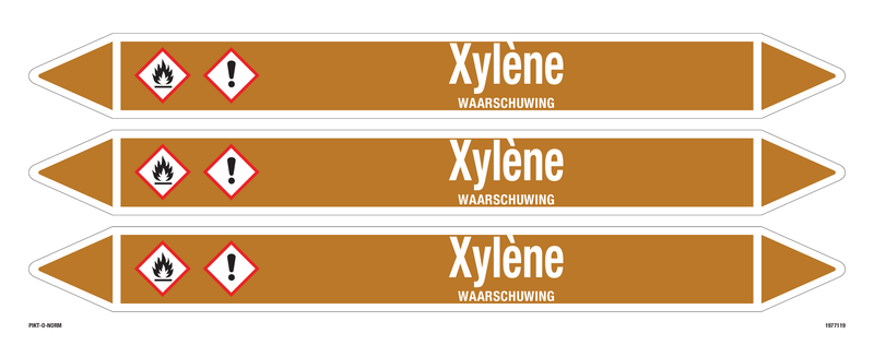 XYLÈNE