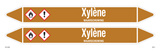 XYLÈNE