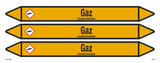 GAZ