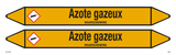 AZOTE GAZEUX