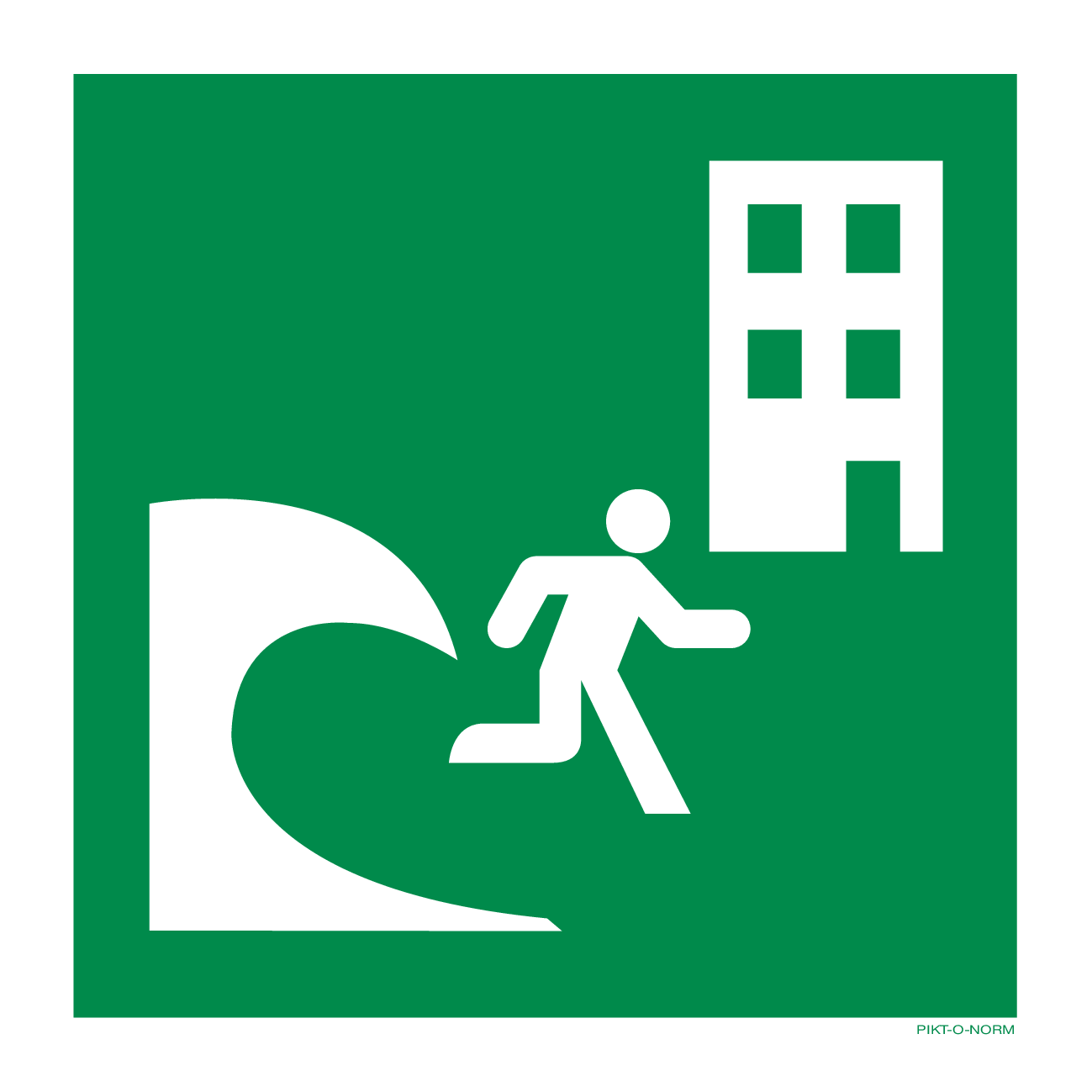 TSUNAMI EVACUATIEGEBOUW ISO7010-E063