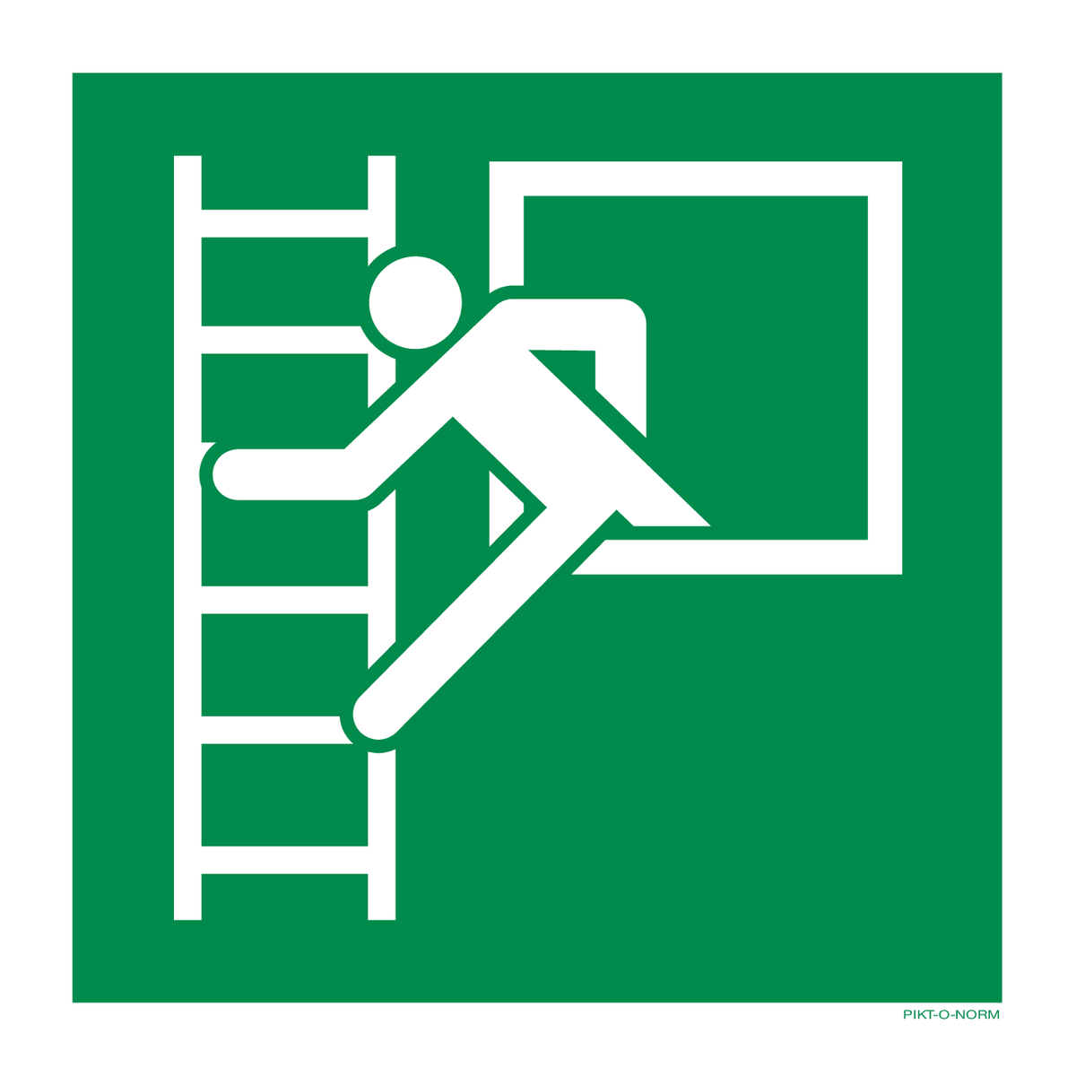 NOODRAAM MET VLUCHTLADDER  ISO7010-E016