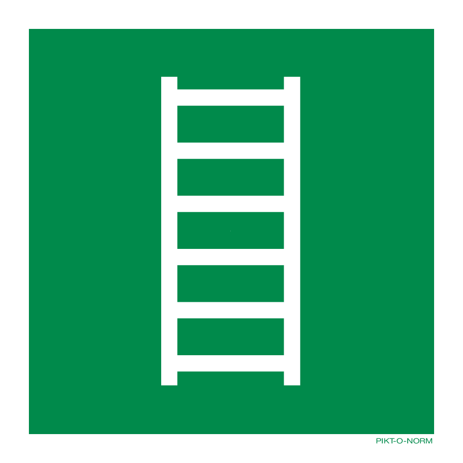 VLUCHTLADDER ISO7010-E059