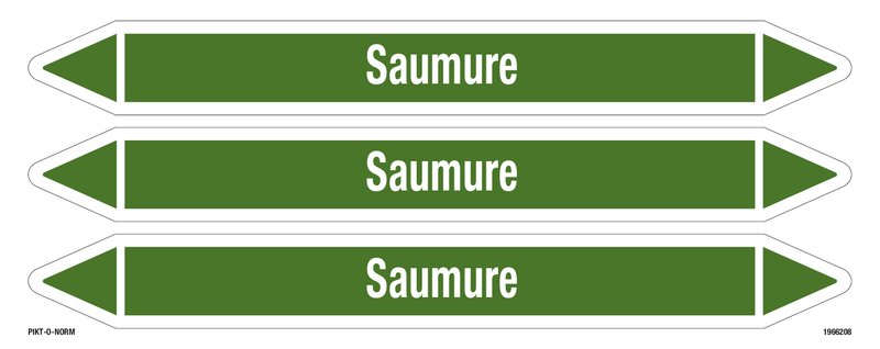 SAUMURE