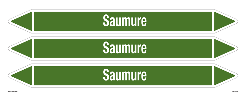SAUMURE