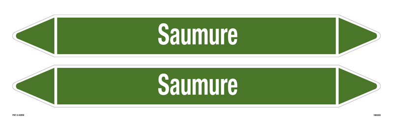 SAUMURE