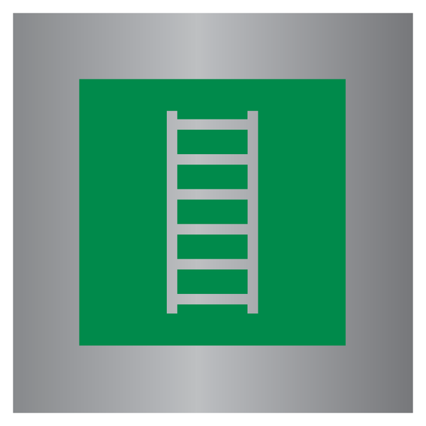 VLUCHTLADDER ISO7010-E059