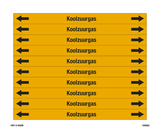 KOOLZUURGAS