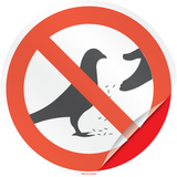 ALIMENTATION DE PIGEONS INTERDITS