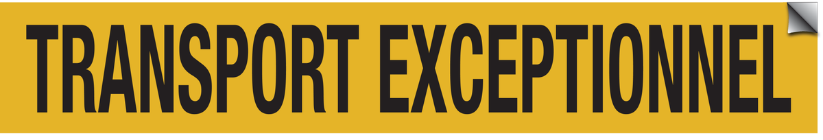TRANSPORT EXCEPTIONNEL