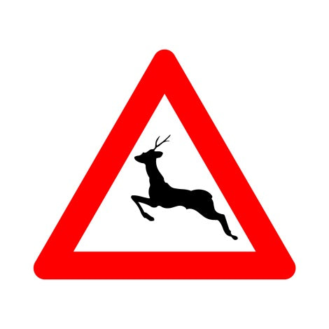A27 OVERSTEKEND WILD