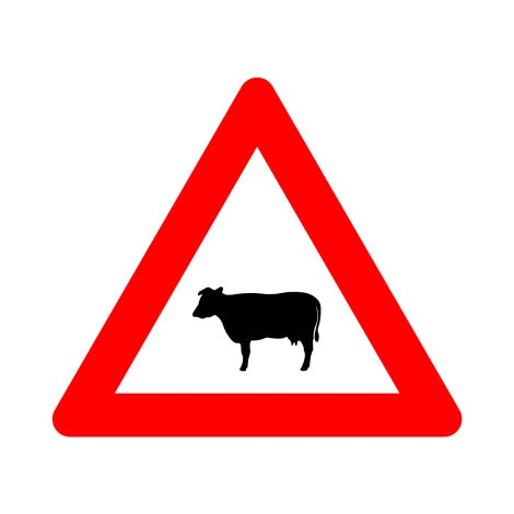 A29 OVERSTEKEND VEE