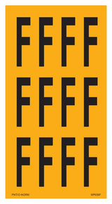 LETTRE F SUR FEUILLE