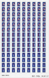 SIGNAUX D'INDICATION B21, F45a, F45b,F45