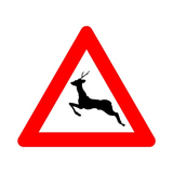 A27 OVERSTEKEND WILD