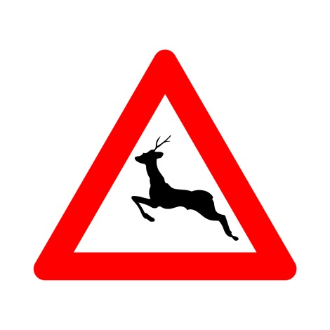 A27 OVERSTEKEND WILD