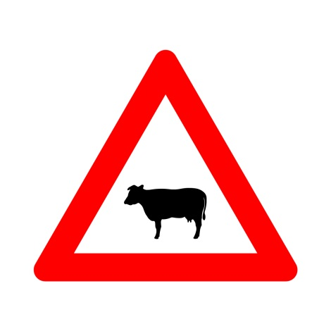 A29 OVERSTEKEND VEE